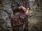 Torba skórzana BarellyBags- Floryda - piękna aktówka w stylu Vintage w wersji dla kobiet 